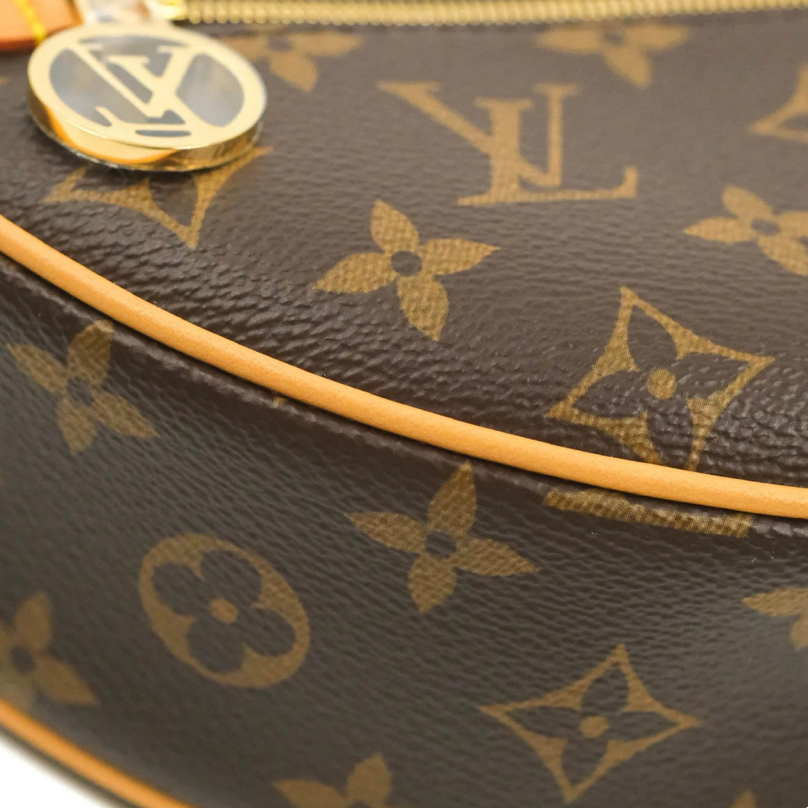 LV Loop Bag