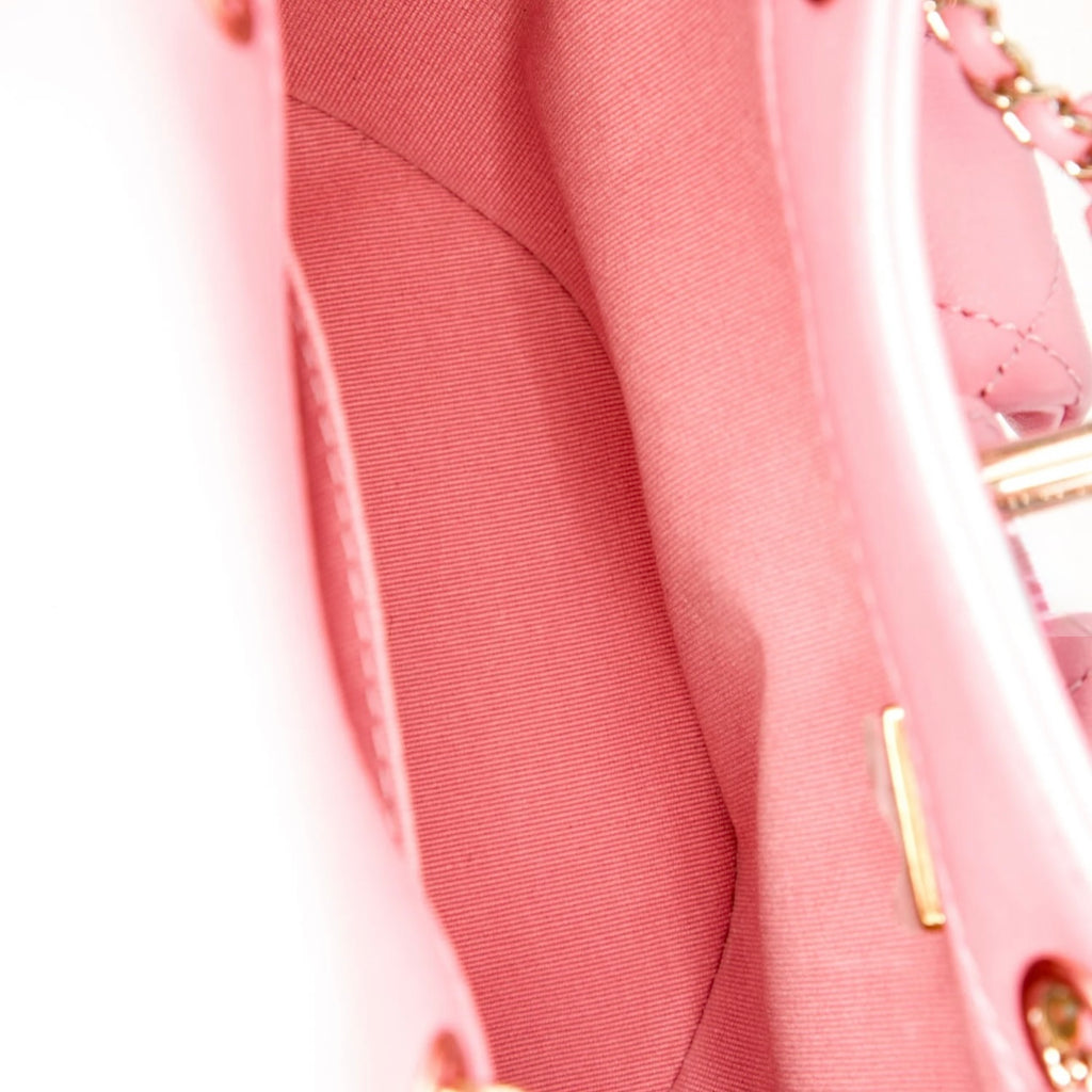 Chanel Duma Backpack Pink Lambskin